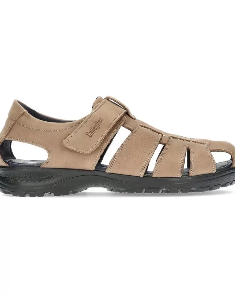 CALLAGHAN Sandalias De Mujer Y Hombre Y Niño Sandalias Sinatra Taupe Store