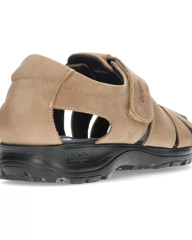 CALLAGHAN Sandalias De Mujer Y Hombre Y Niño Sandalias Sinatra Taupe Store