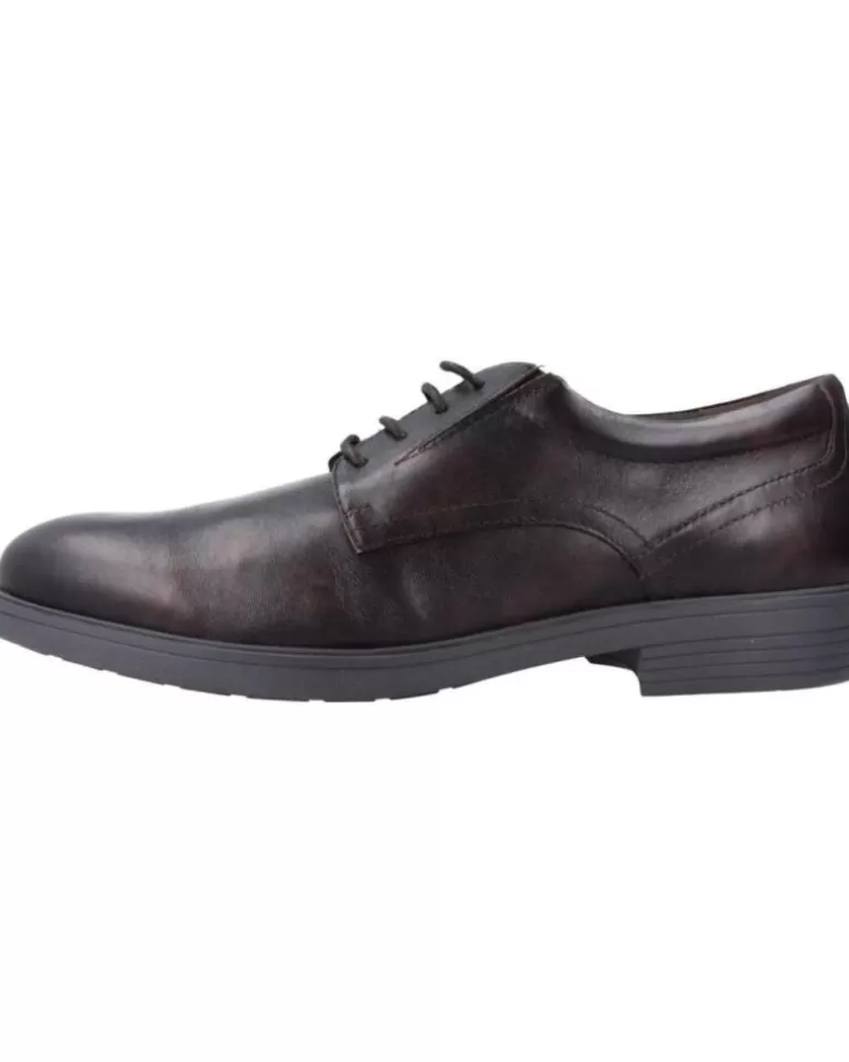 GEOX Zapatos De Hombre U Appiano Marron Shop