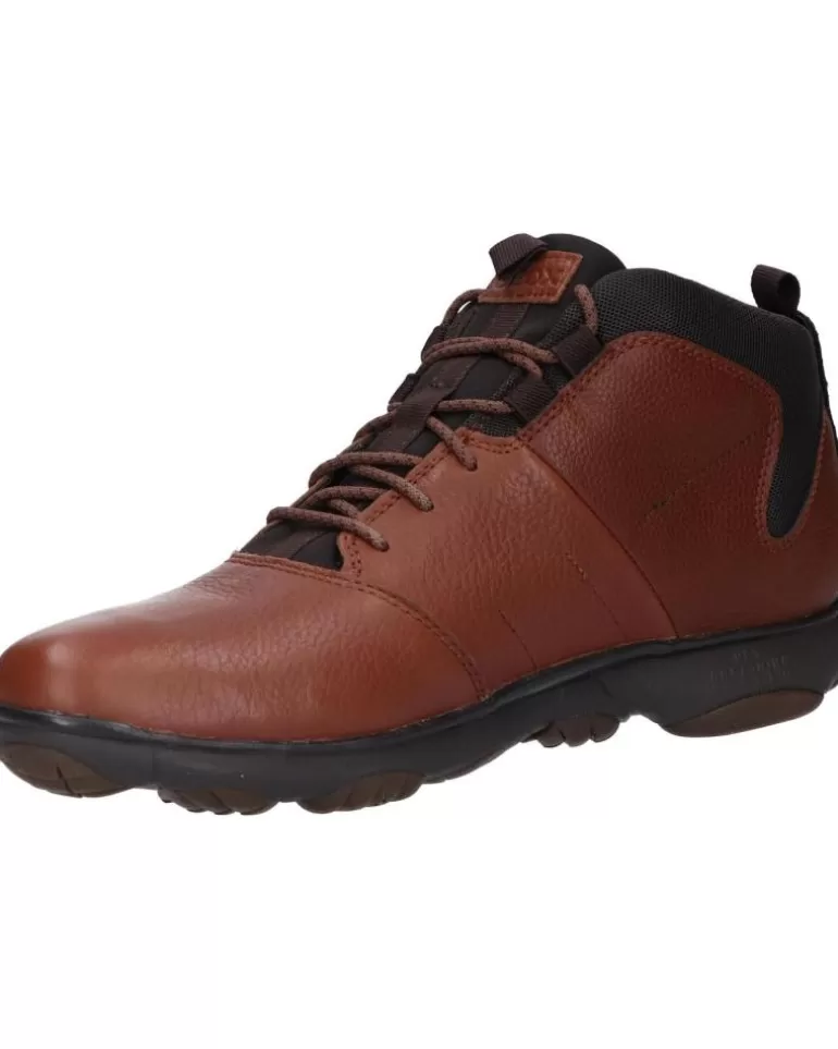 GEOX Zapatos De Hombre Y Niño U742Va 046Fe U Nebula C6003 Browncotto Best