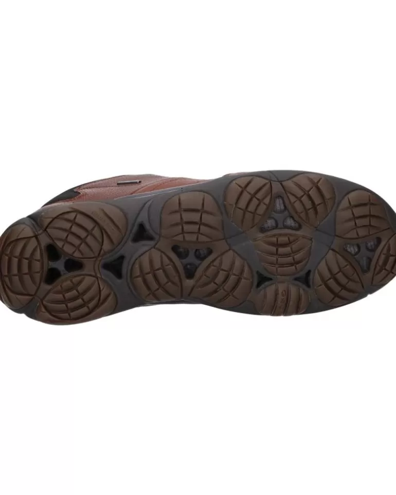 GEOX Zapatos De Hombre Y Niño U742Va 046Fe U Nebula C6003 Browncotto Best