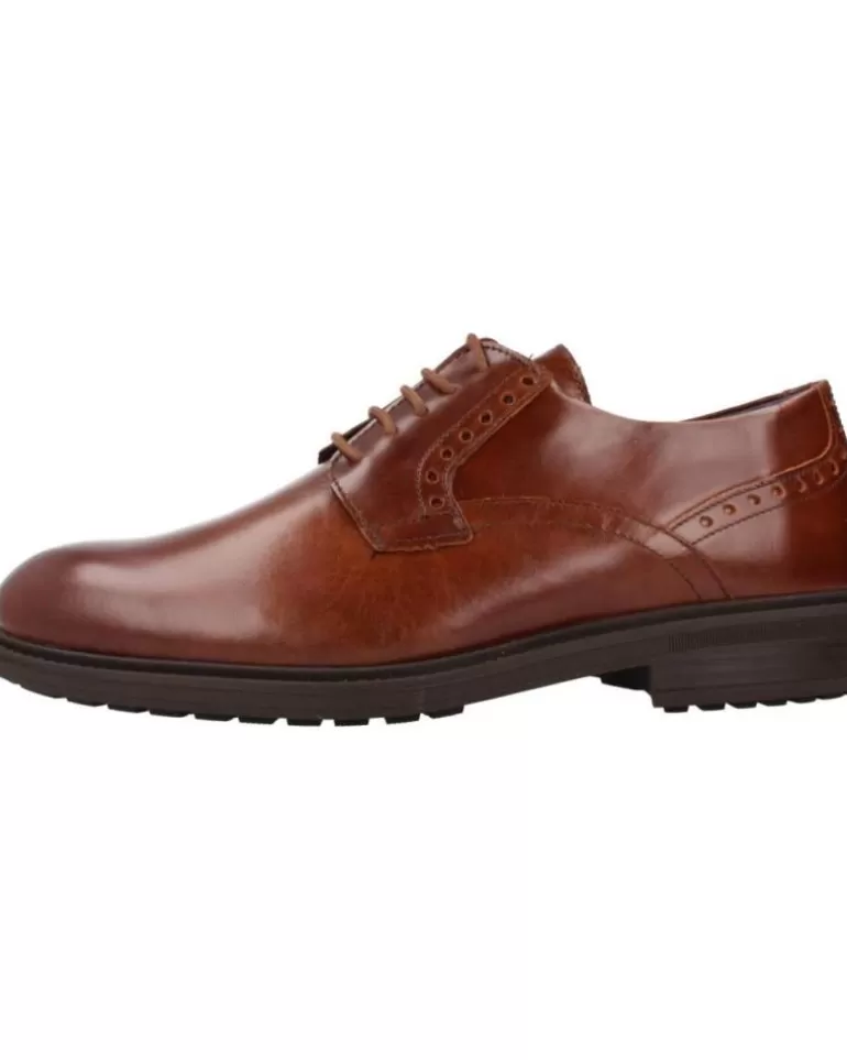 PITILLOS Zapatos De Hombre 4950P Marron Shop