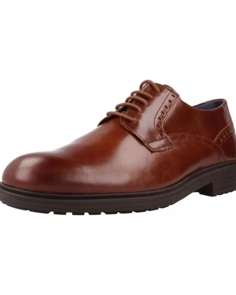 PITILLOS Zapatos De Hombre 4950P Marron Shop